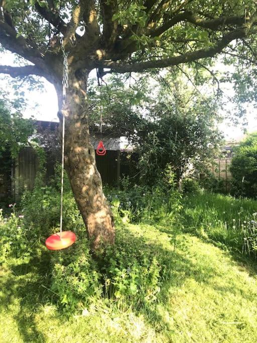 Tiny - With Private Shower In Separate Outbuilding Apartment *